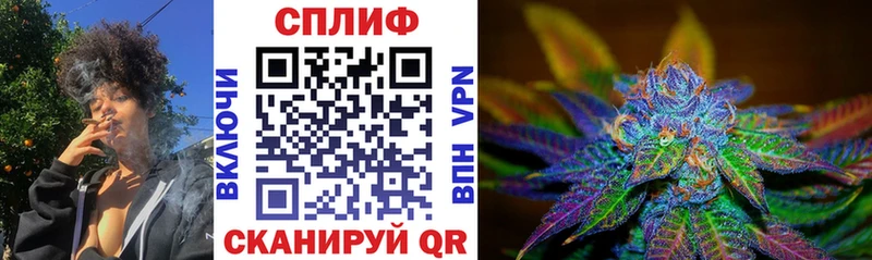 Купить где  Миньяр  Конопля SATIVA & INDICA 